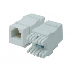 KEYSTONE RJ11 BRANCO SPEEDLAN