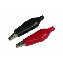 par-garra-jacare-isolada-pequena-tblack