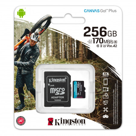 cartao-de-memoria-256gb-classe-1-canvas-go-17mbs-kingston