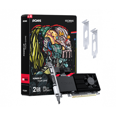 vga-2gb-ddr3-r5-22-pper5dr3lpbr-64bits-pcyes